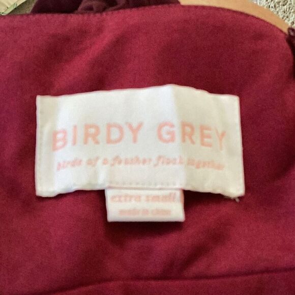 NWT Birdy Grey Kiko Mesh Cabernet Dress Gown Women’s XS Wedding Bridesmaid - Picture 8 of 11